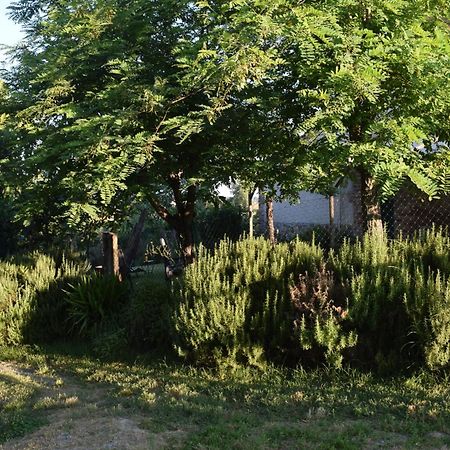 Il Saragio Villa Abbadia di Montepulciano Eksteriør billede