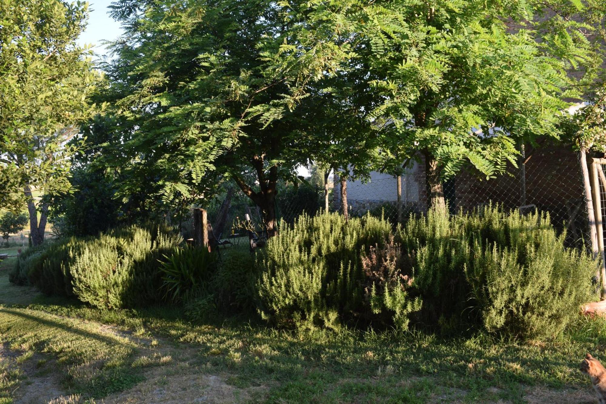 Il Saragio Villa Abbadia di Montepulciano Eksteriør billede