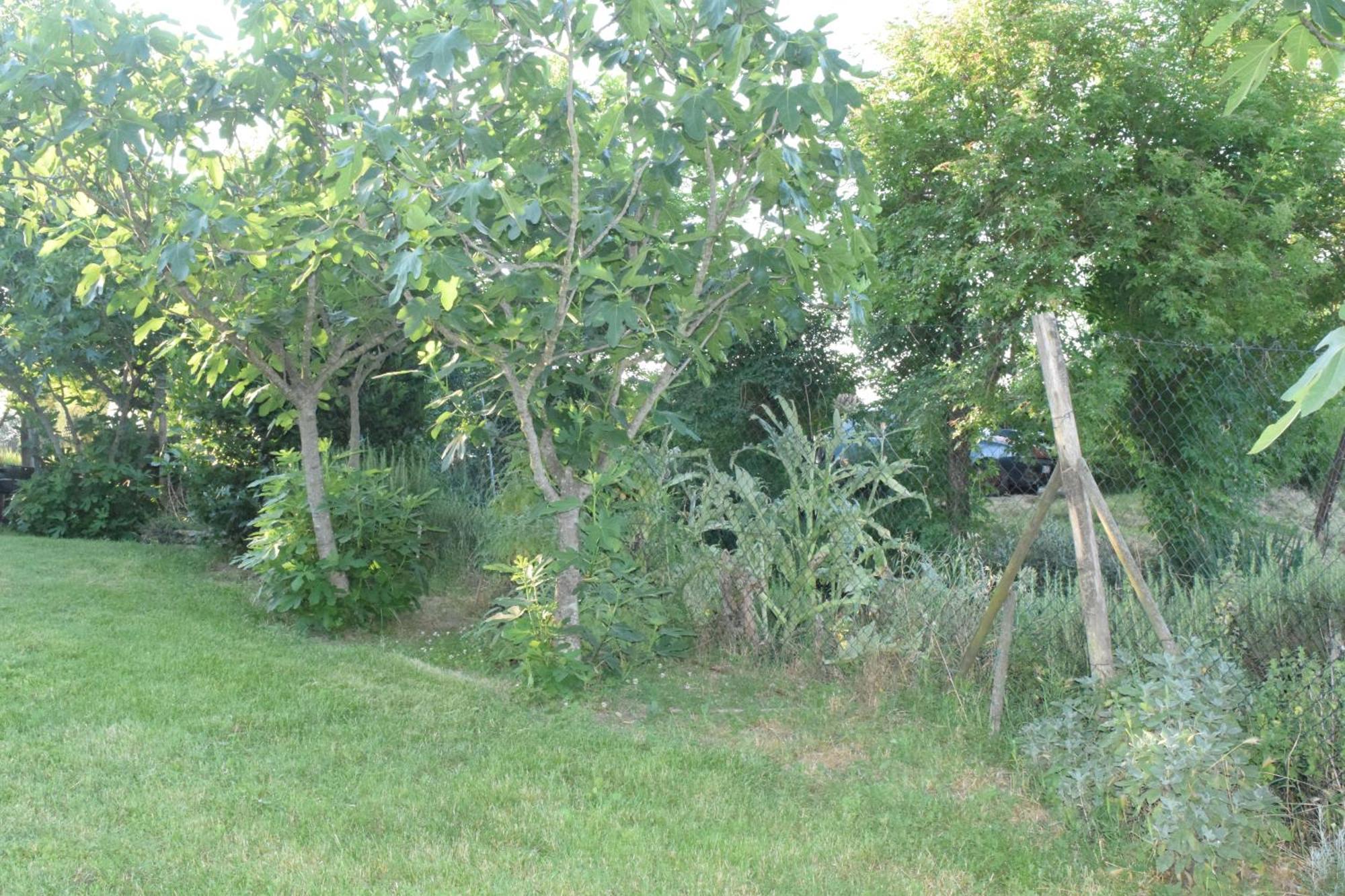 Il Saragio Villa Abbadia di Montepulciano Eksteriør billede