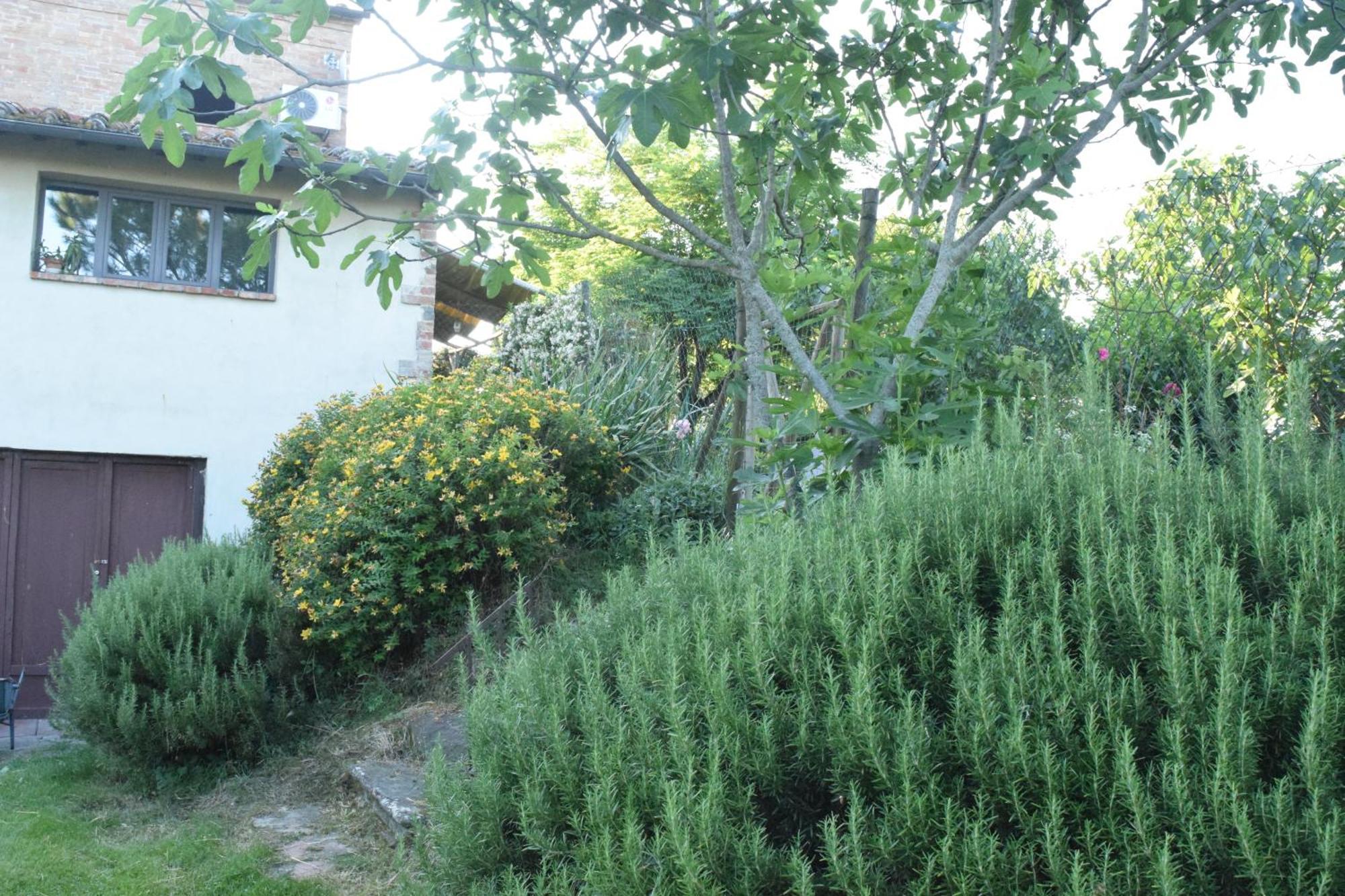 Il Saragio Villa Abbadia di Montepulciano Eksteriør billede