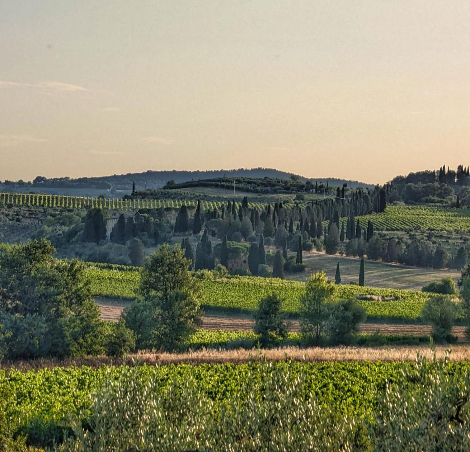 Il Saragio Villa Abbadia di Montepulciano Eksteriør billede
