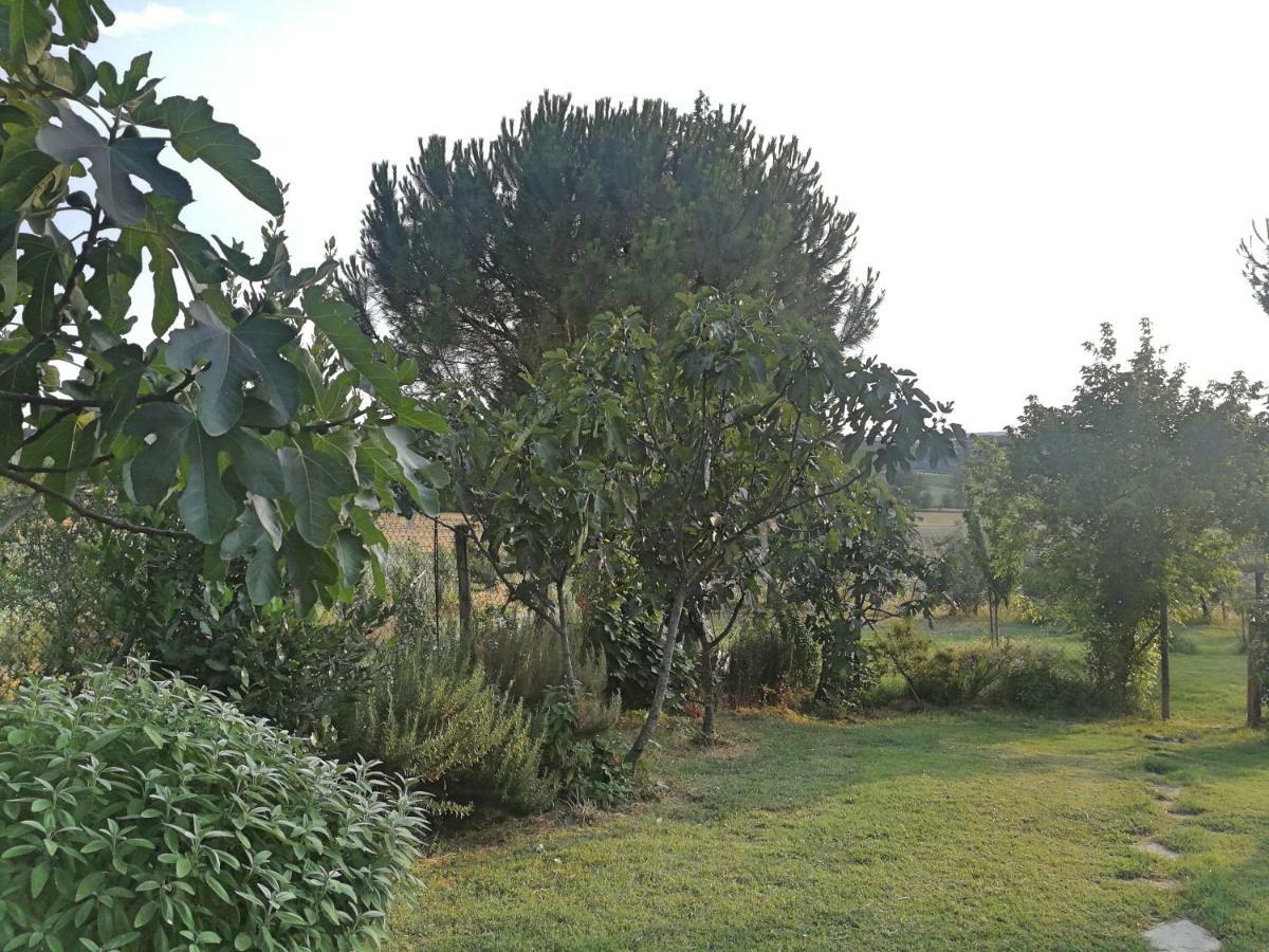 Il Saragio Villa Abbadia di Montepulciano Eksteriør billede